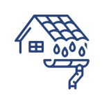 Gutter and Roof Cleaning 