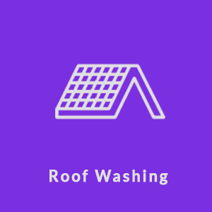 roof washing soft and high pressure